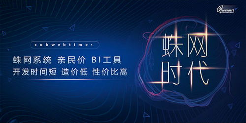 云蛛系统 打造企业自己的数据分析,数据中心助力现代化管理